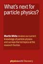 What’s next for particle physics