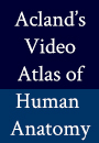 Acland’s Video Atlas of Human Anatomy