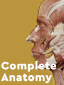 Complete Anatomy